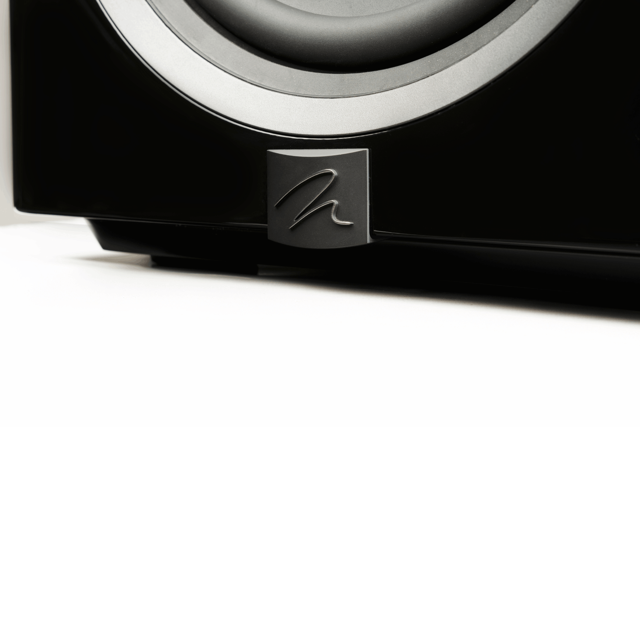 MartinLogan Dynamo 12 Subwoofer