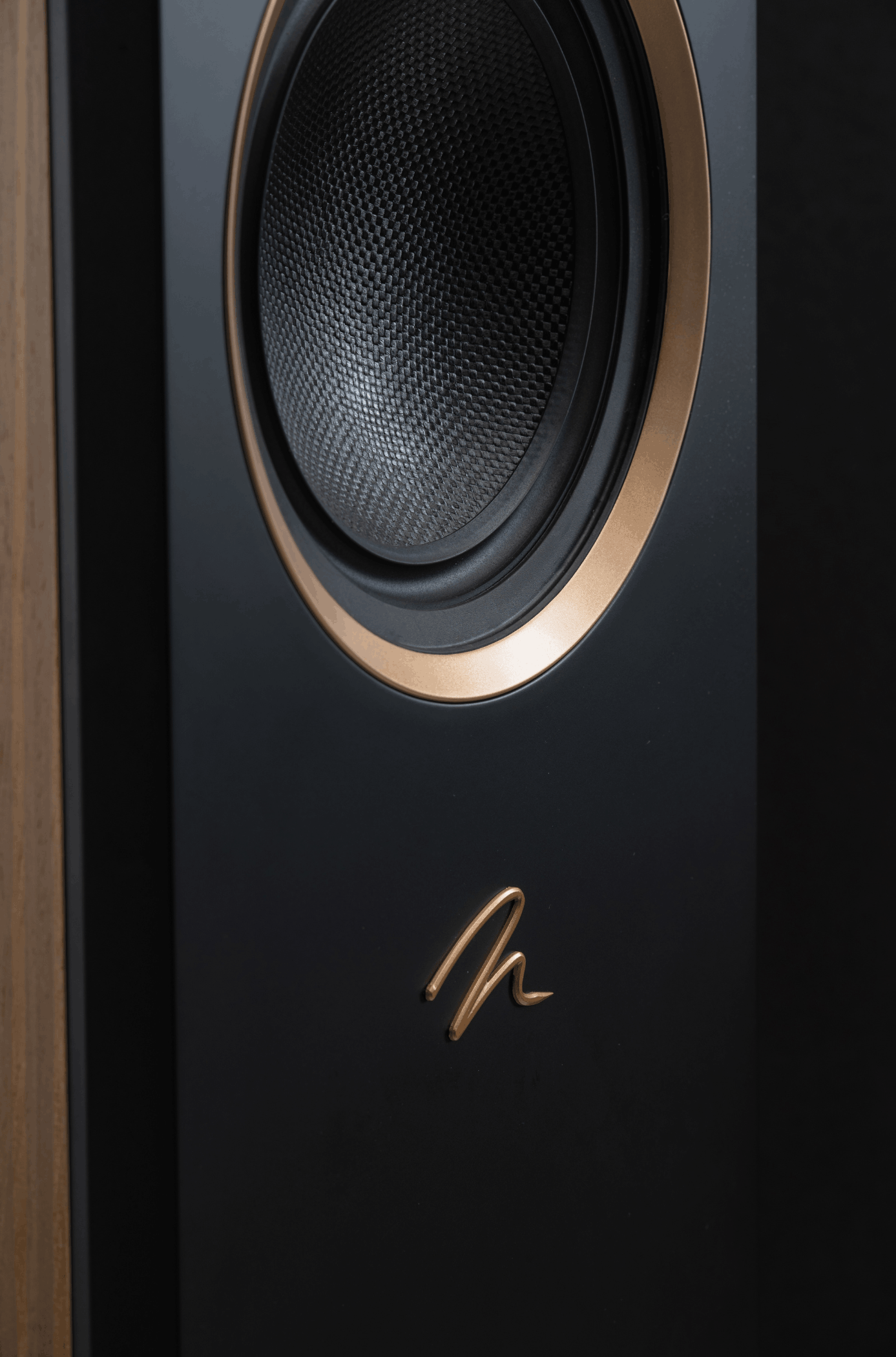 MartinLogan Motion XT F200 Floorstanding Speakers