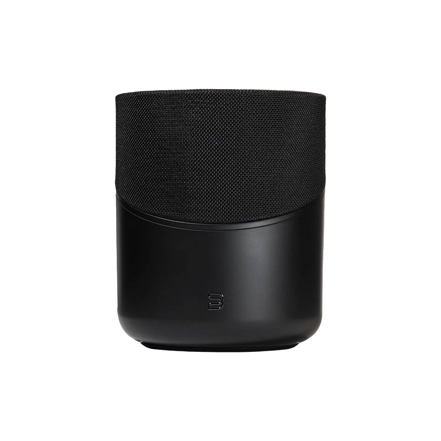 Bluesound Pulse M