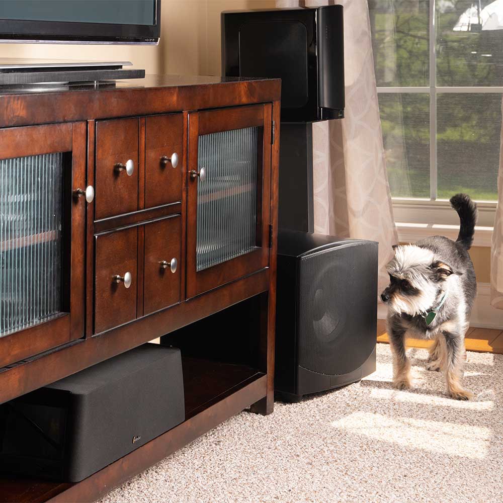 GoldenEar ForceField 40 Subwoofer (Clearance | Display)