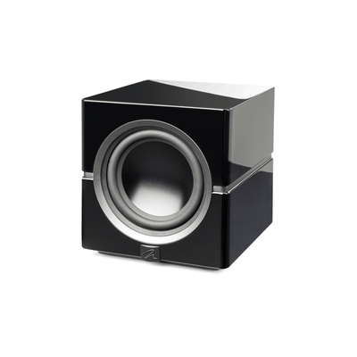 MartinLogan Dynamo 10 Subwoofer