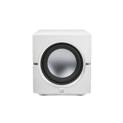 MartinLogan Dynamo 10 Subwoofer