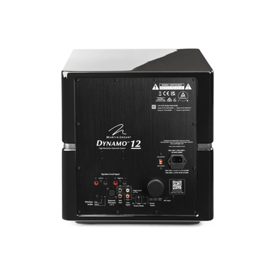MartinLogan Dynamo 12 Subwoofer