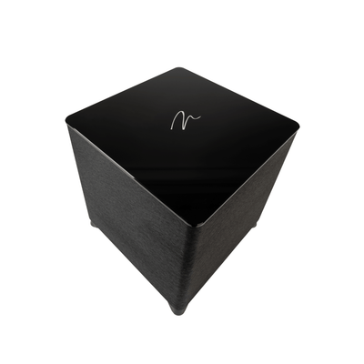 MartinLogan Dynamo Foundation 10 Subwoofer