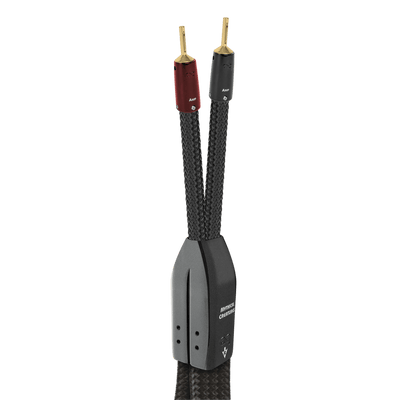 AudioQuest Dragon BiWire COMBO Speaker Cable