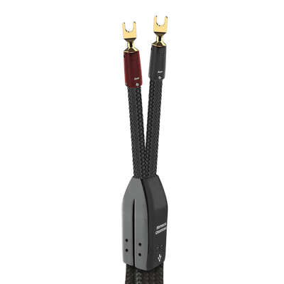 AudioQuest Dragon BiWire COMBO Speaker Cable