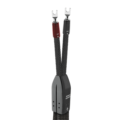 AudioQuest Dragon BiWire COMBO Speaker Cable