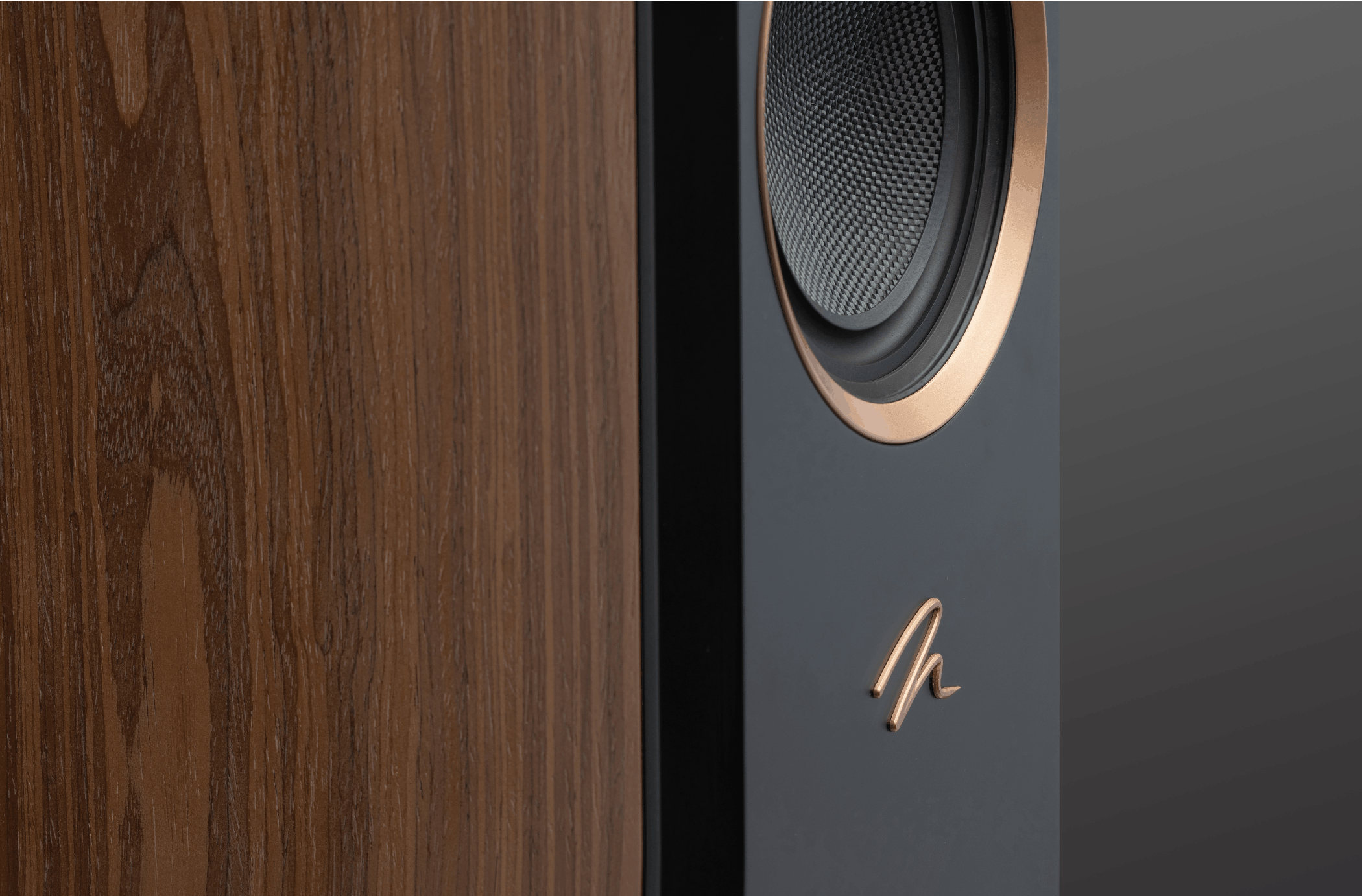 MartinLogan Motion XT F200 Floorstanding Speakers