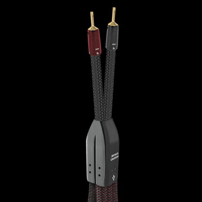 AudioQuest FireBird BiWire COMBO Speaker Cable