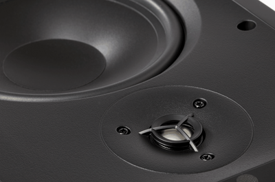 MartinLogan IW6 In-Wall Speaker